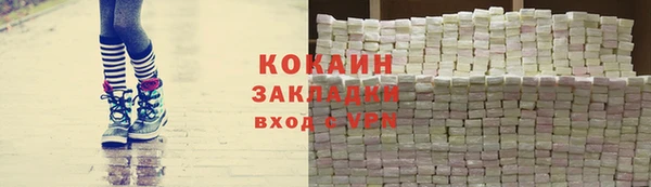 гидра Каменногорск