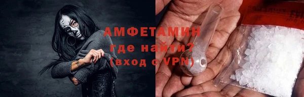 гидра Каменногорск