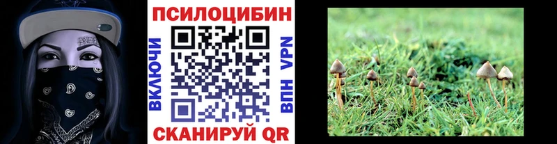 Галлюциногенные грибы MAGIC MUSHROOMS  Карасук 